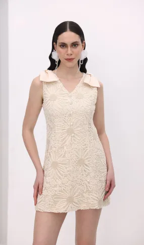 A Line Bow Mini Dress