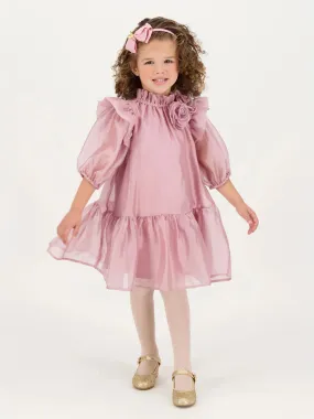 Angels Face Girls Lark Rose Trim Dress in Pink