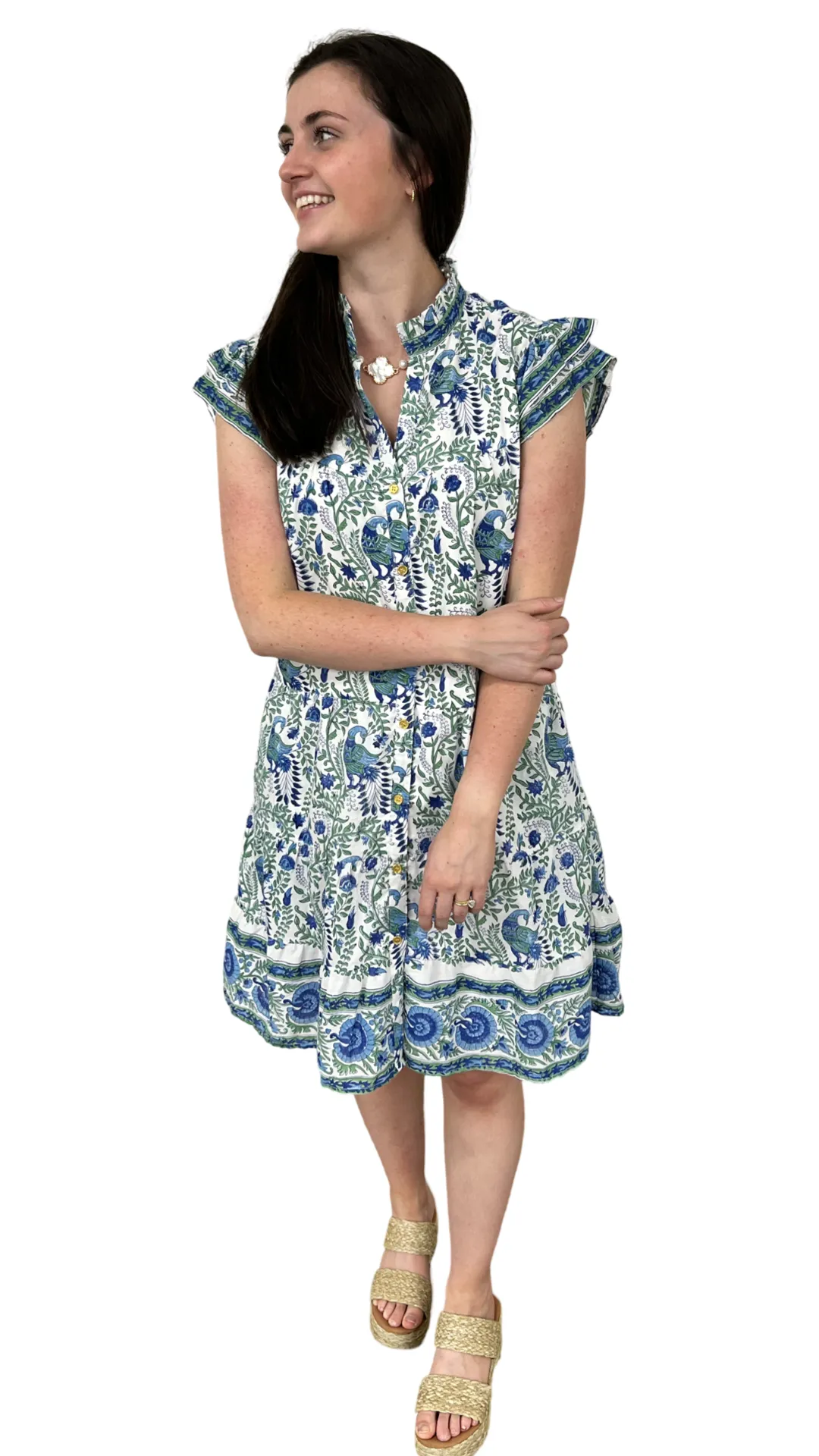 The Lacey Geen and Blue Border Print Cotton Dress